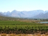 IMG_1238 adjusted.jpg